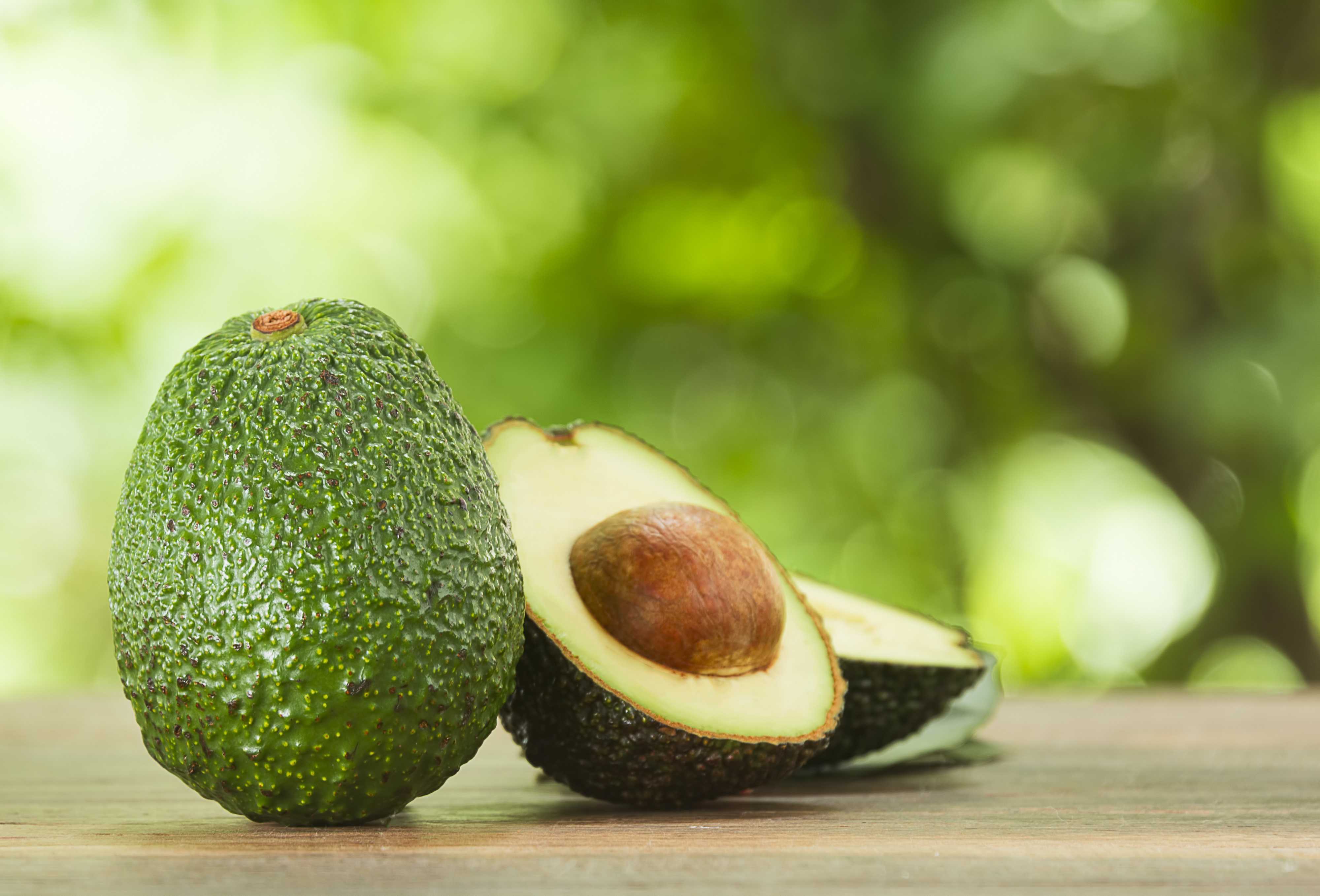 Quedate con Quién te Cuide Como la Palta